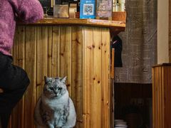 -隅cafe(傅厚岗店)