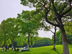 -新洲生态园