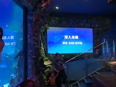 -沈阳海洋探索中心