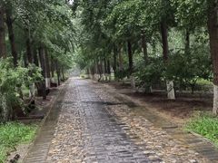 -东升八家郊野公园