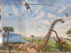 -辽宁古生物博物馆