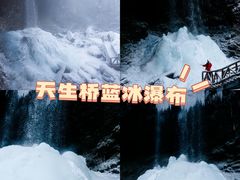 -龙苍沟森林公园