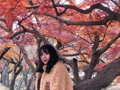 -奈良公园