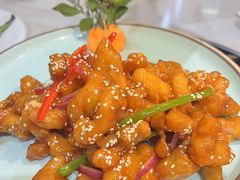 -港升鱼师傅·中山脆肉鲩