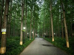 -上海怡沁园度假酒店