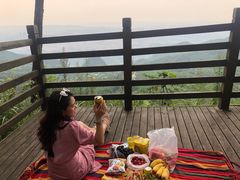 -铁山坪森林公园