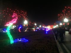 -金城公园