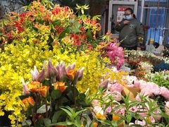 -双季花艺园艺市场(浦东店)