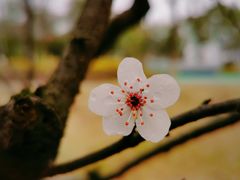 -白塘生态植物园