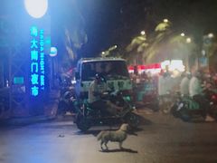 -海大南门夜市(海富街店)