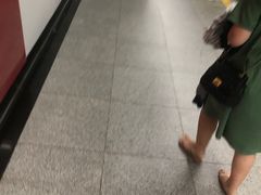 -东方体育中心(地铁站)