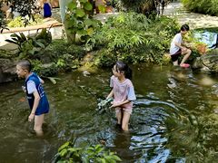 -成都市活水公园