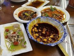 -龙翔山庄雷鸡肉(青城后山泰安古镇店)