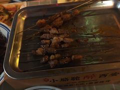 -福苗小骆驼烧烤(莲湖路店)