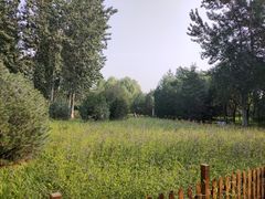 -秀水公园