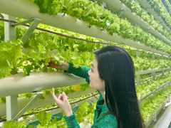 -兰陵国家农业公园