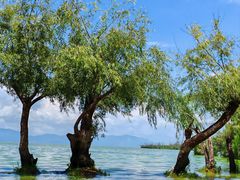 -捞渔河湿地公园