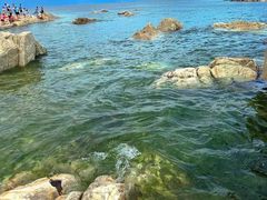 -养马岛旅游度假区