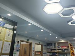 -博特宠物医院24h犬猫全科.骨科·异宠