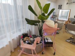 -E.L.K造型momopark店