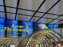 -乐天免税店(明洞店)