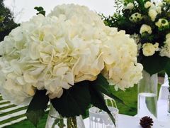 -成都蒲江花样年福朋喜来登度假酒店·宜客乐西餐厅