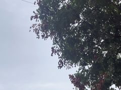 -天涯山