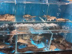 -山海•蒸汽活海鲜自助(皇庭广场店)