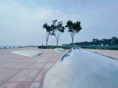 -东堤公园