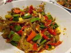 鸭掌筋-壹盏灯(惠农店)