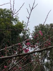 -福州儿童公园