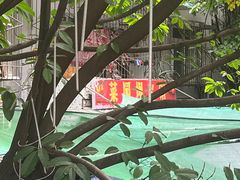-菜园坝老火锅(金岛店)