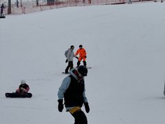 -中旅松花湖滑雪场
