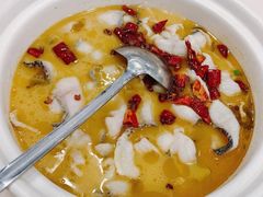 -蜀腾川·火锅鱼.烤鱼(新世界城店)