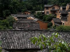 -杨家堂村