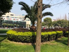 -复旦大学本部-食堂