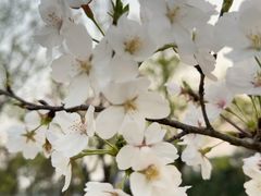 -上海交通大学(闵行校区)