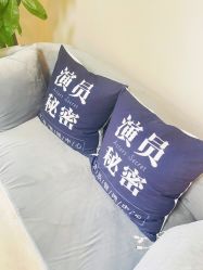 -演员的秘密·皮肤管理