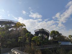 -福道