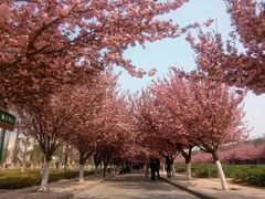 -西北农林科技大学(北校区)