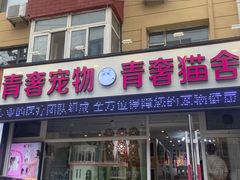 -青奢宠物·青奢猫舍