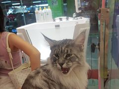 -FAELING PETS美天灵宠物(合生汇店)