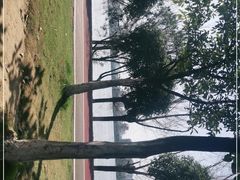 -艾溪湖湿地公园