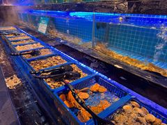 -喜庭海鲜自助(深圳万丰海岸城店)