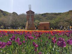 -苏州上方山国家森林公园