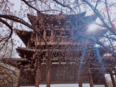 -西安青龙寺遗址景区