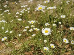 -汉长安城未央宫国家考古遗址公园