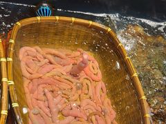 -龙宴海鲜城(经中路店)