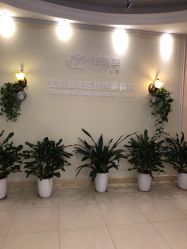 -碧莲盛·不剃发植发