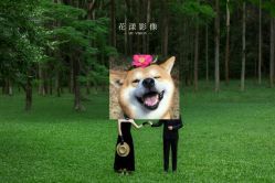 -花漾摄影优选工作室(东莞原创作品店)